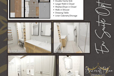 Conceptual Owner En Suite Design