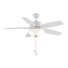 Ceiling Fans