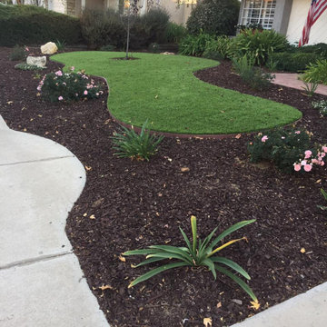 Completed Lawns and Turfs