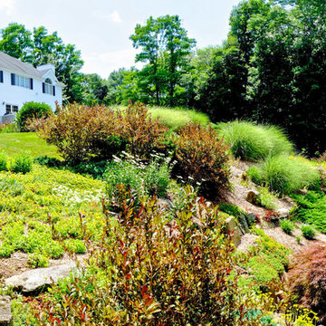 Hillside Beautification