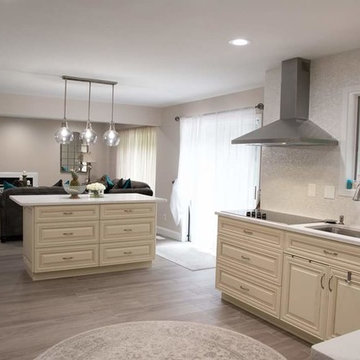 Kitchen Remodel
