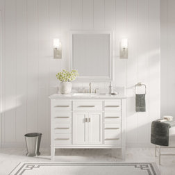 Transitional Bathroom Vanities And Sink Consoles by Ari Kitchen & Bath, LLC