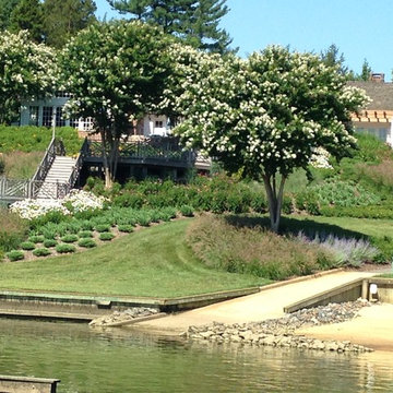 Shoreline Sustainable Landscaping