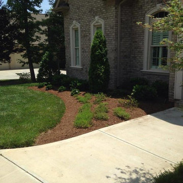 Our Work