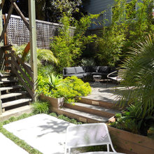 Lucas backyard