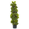 40' Grape Leaf Deluxe Climbing Plant