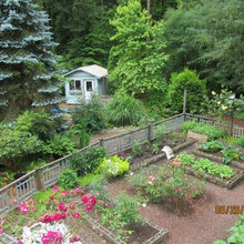 Patio Ideas