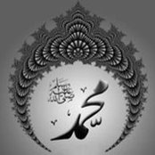 محمود عماد البارودي's photo