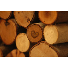 littlewood