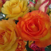 Leanne Russell's photo