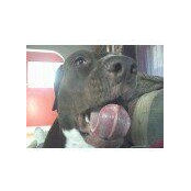 Angie Baldwin's photo