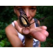 Anne-Marie Giard's photo
