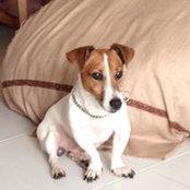 Edmund Liew's photo