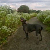 Connie Kramer's photo