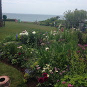 Jennifer Jamgochian's photo