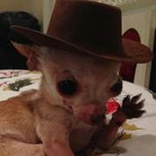 Gilbert Ayala's photo