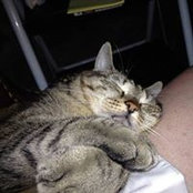 Bea Porter's photo