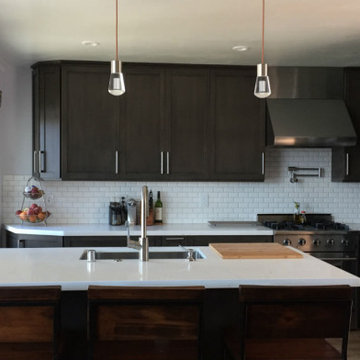 Residential Kitchen Remodel and Exterior Siding