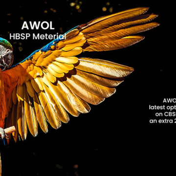 Awol Vision 100''-150'' Cinematic ALR Screen (Wallmount Screen)