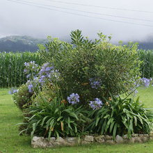 Jardín de la semana: Un paraíso entre valles siempre verdes