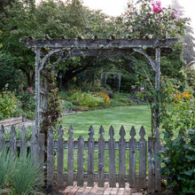 Landscape Plan