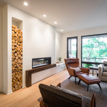 Minneapolis Whole Home Renovation