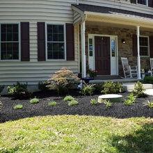 Garden Ideas