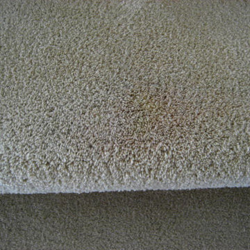 carpet color corrections
