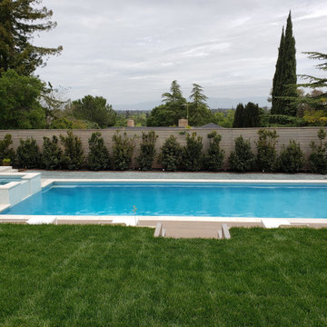 Coral Pool and Spa Portfolio Pictures pt. 4