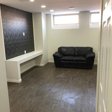 Basement development