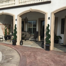 Need Back Patio Plant/flower Ideas??