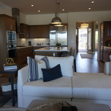 Summer House Carlsbad, CA Builder Partnership Projects Future Proofing Homes