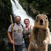 Patty Fox's photo