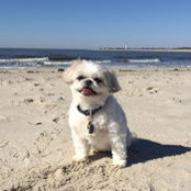 susan Smeltzer's photo
