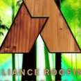 Alliance Roofing, Building and Home repair's profile photo