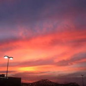 Traey Dowler's photo