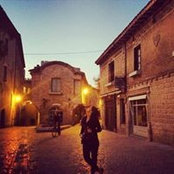 Diana Moussa's photo