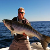 Dan Hermann's photo