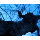 Rachel Levi's photo