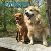 Ashley Corbello's photo