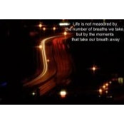 Wayne Sokal's photo