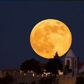 Bruce Allen's photo
