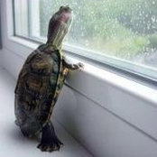 Debbie Williams's photo