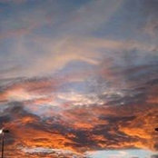 Amber Salinas's photo