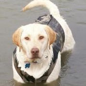Kristi Deitrickさんの写真
