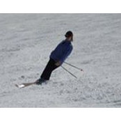 Lisa Van Sciver's photo