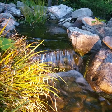Outdoor Pond Oasis