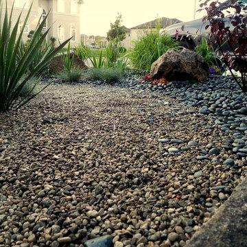 Ancaster Xeriscape
