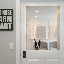 Dogs' Rooms 
