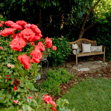Garden Bench Beneath Dogwood with Roses in Foreground